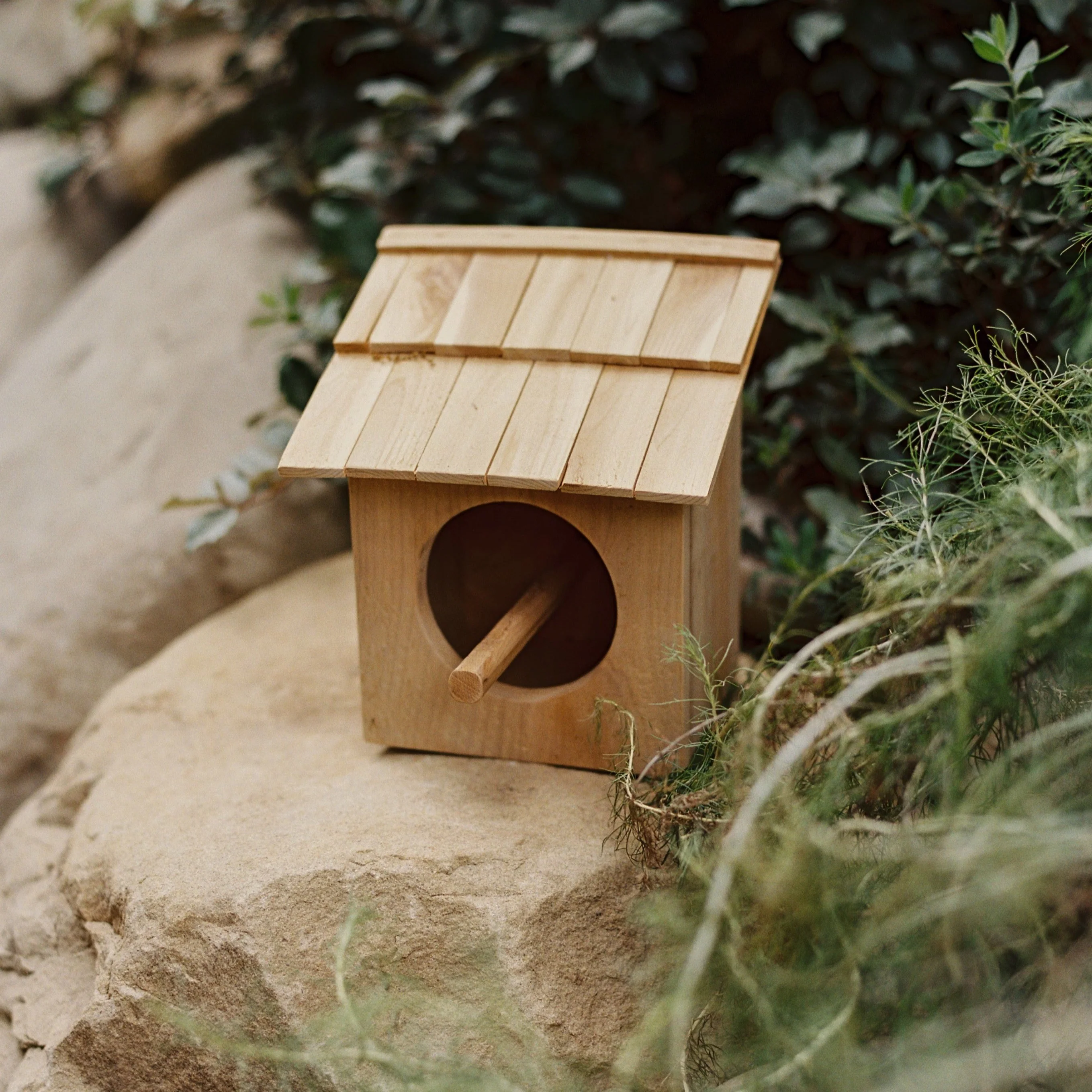 Birdhouse No. 1 - Image 7