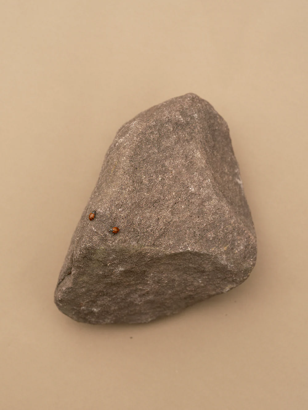 Boulders - Image 14