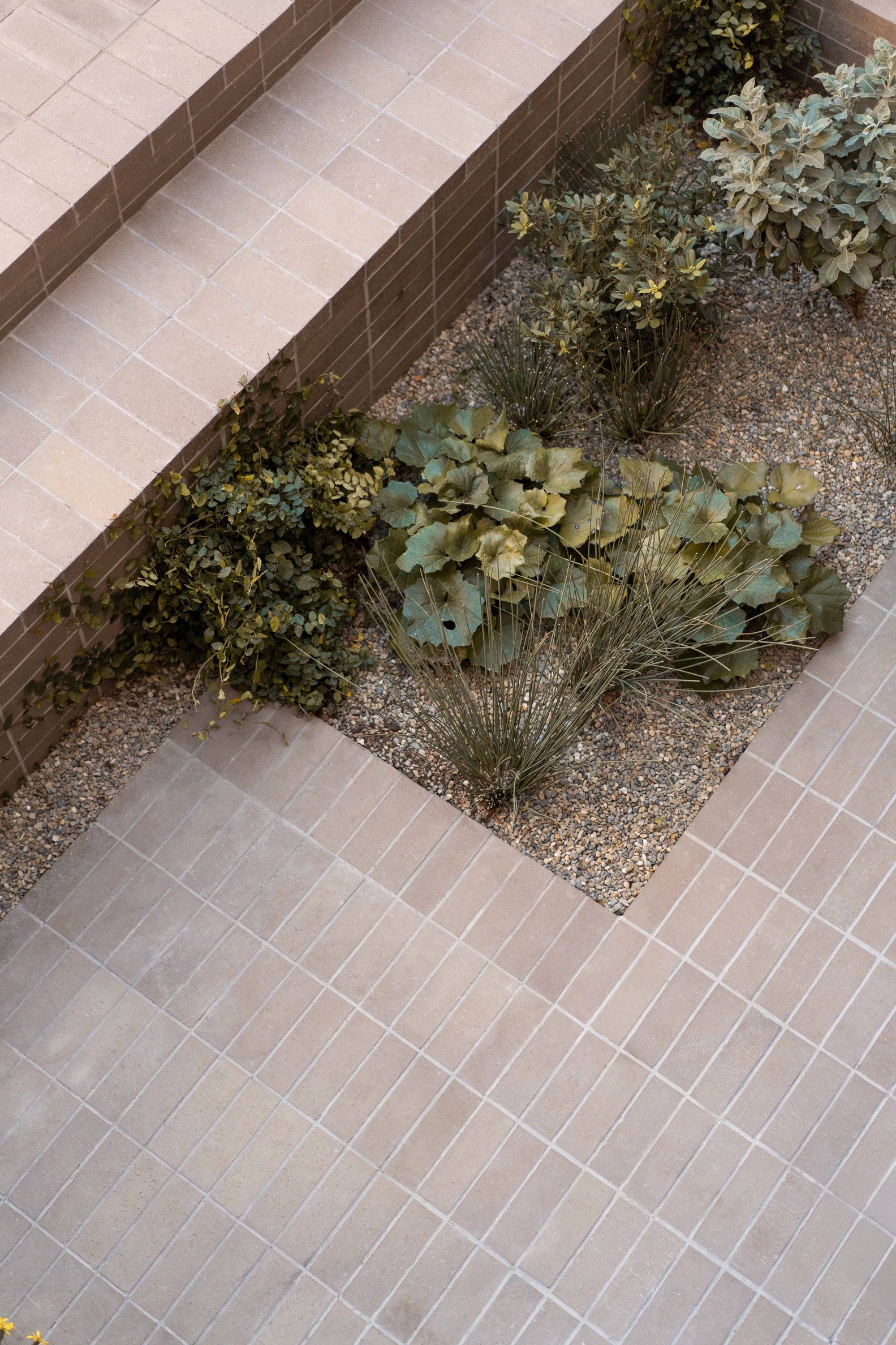 Brick Clay Paver - Image 11