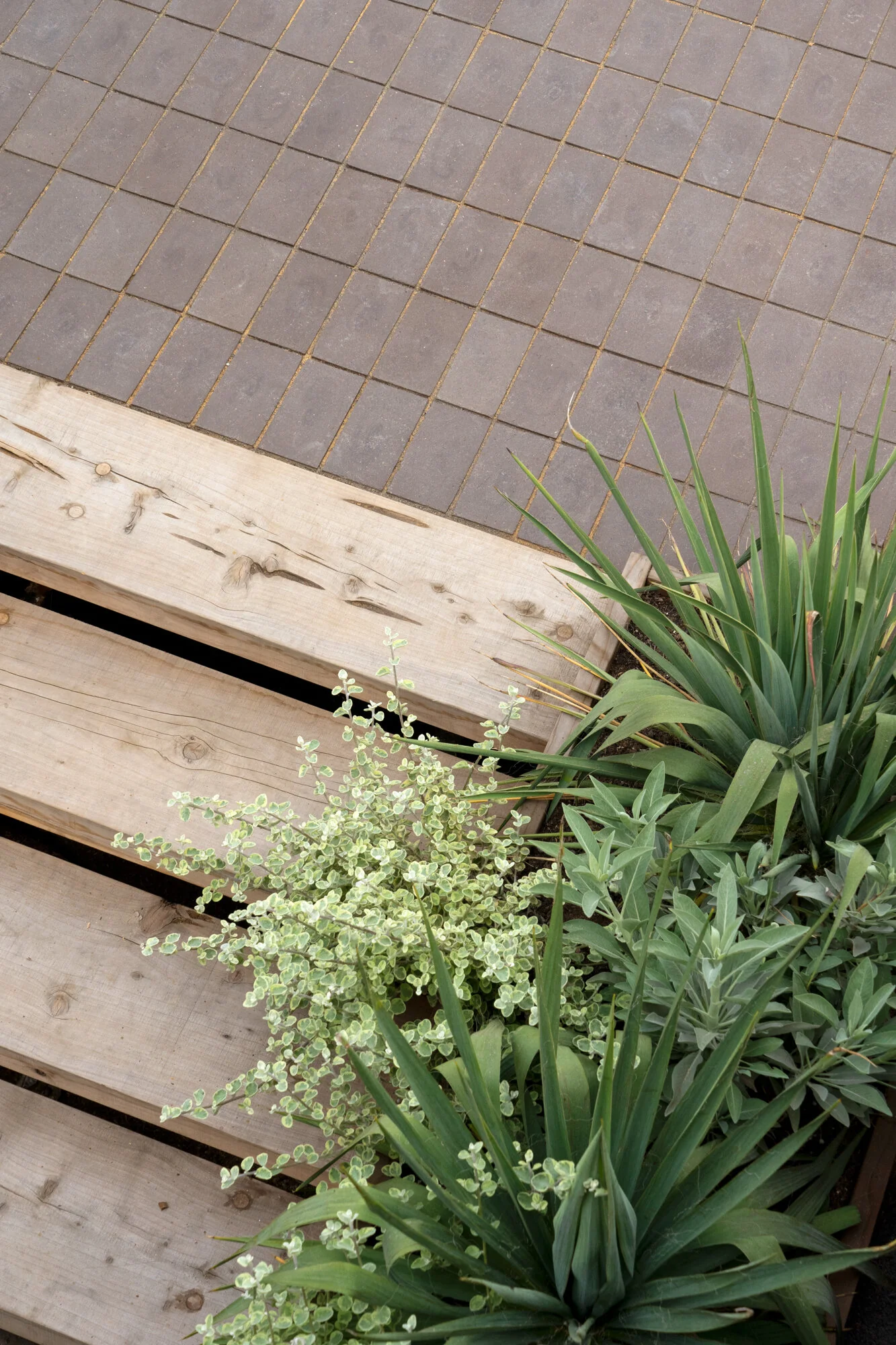 Brick Clay Paver - Image 17