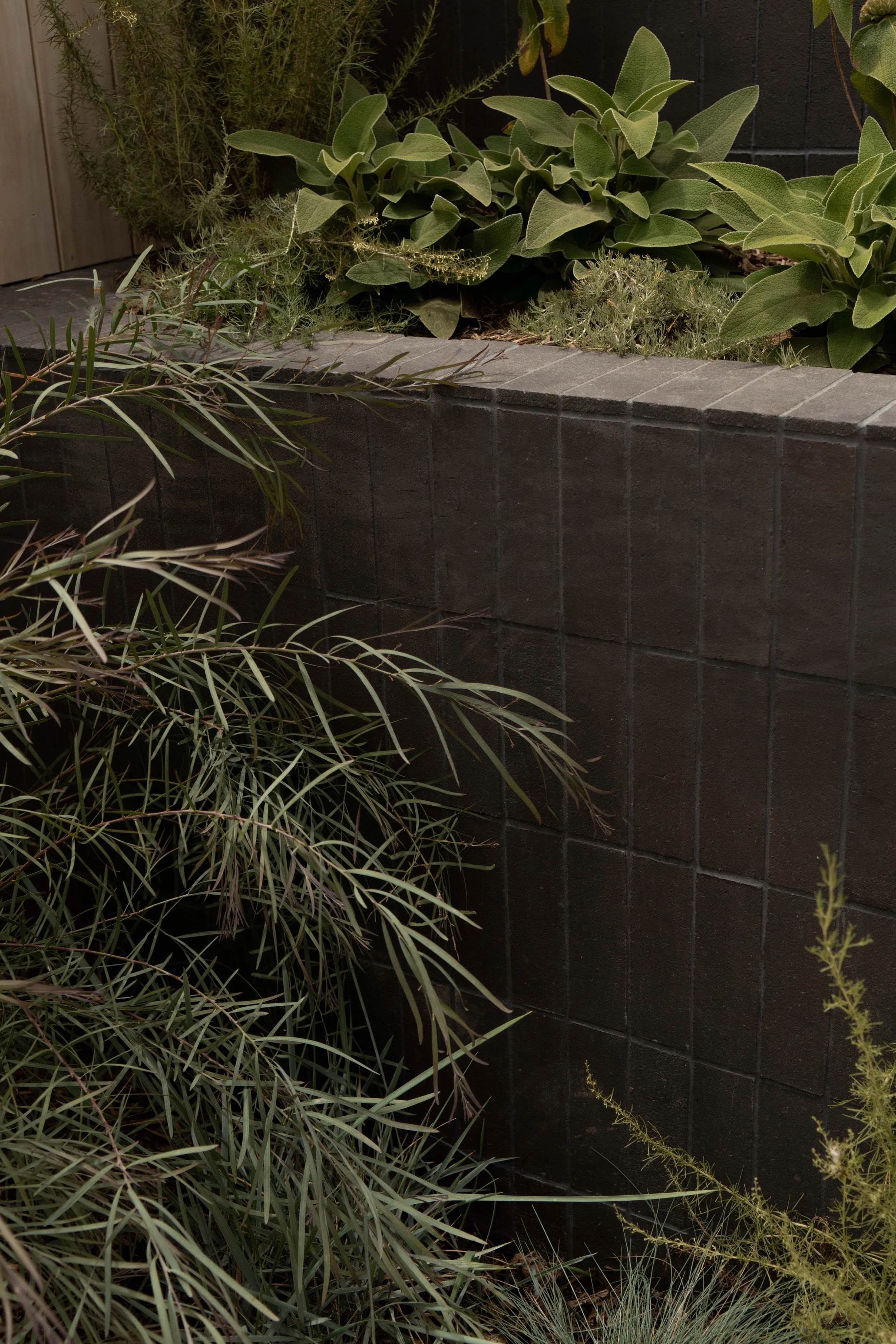 Brick Clay Paver - Image 39