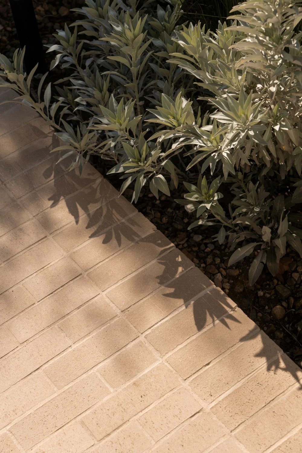 Brick Clay Paver - Image 28