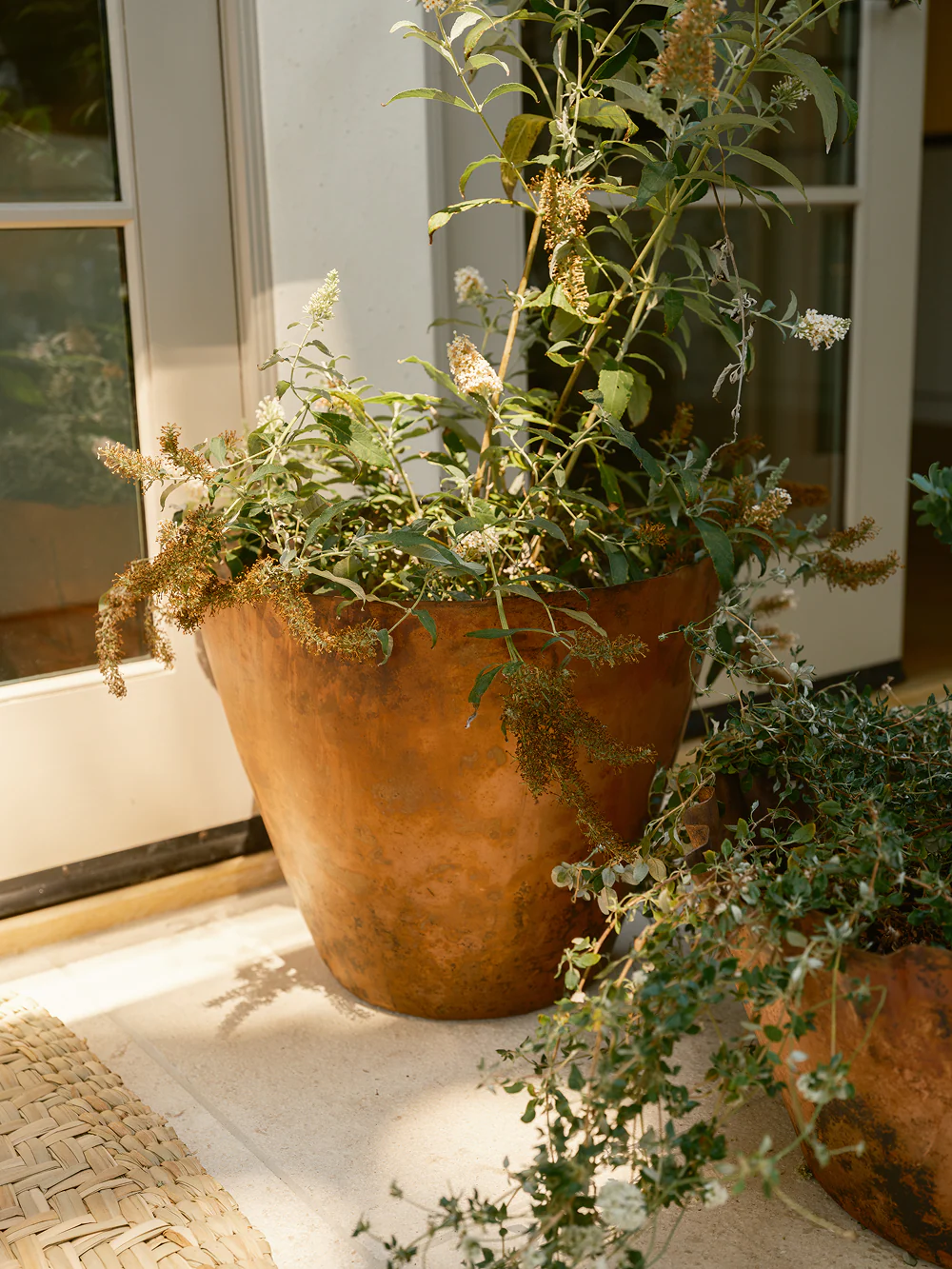 Copper Planter - Image 4