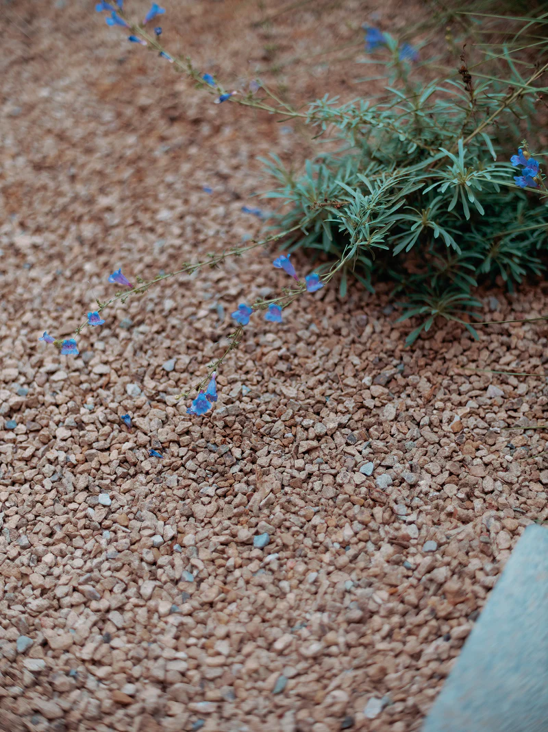 Gravel - Image 3