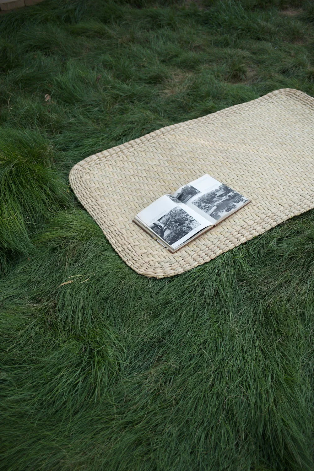 Handwoven Outdoor Mat - Image 11