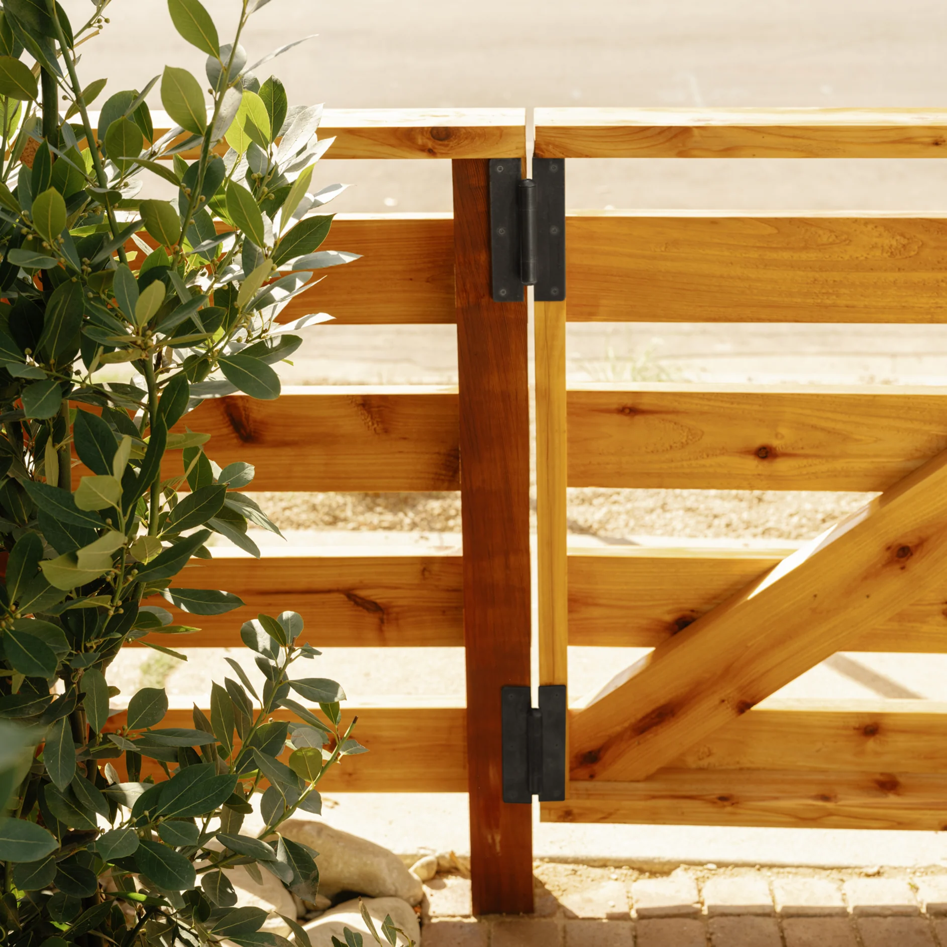 Hinge - Image 5