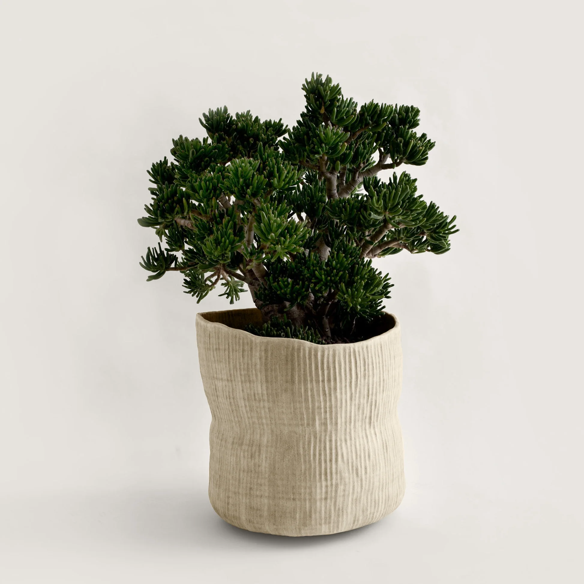 Raked Clay Planter - Image 2
