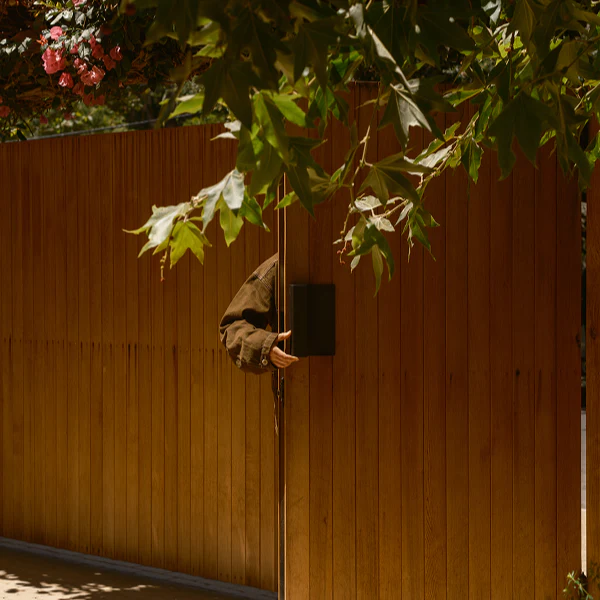 Oversize Gate Pull - Image 8