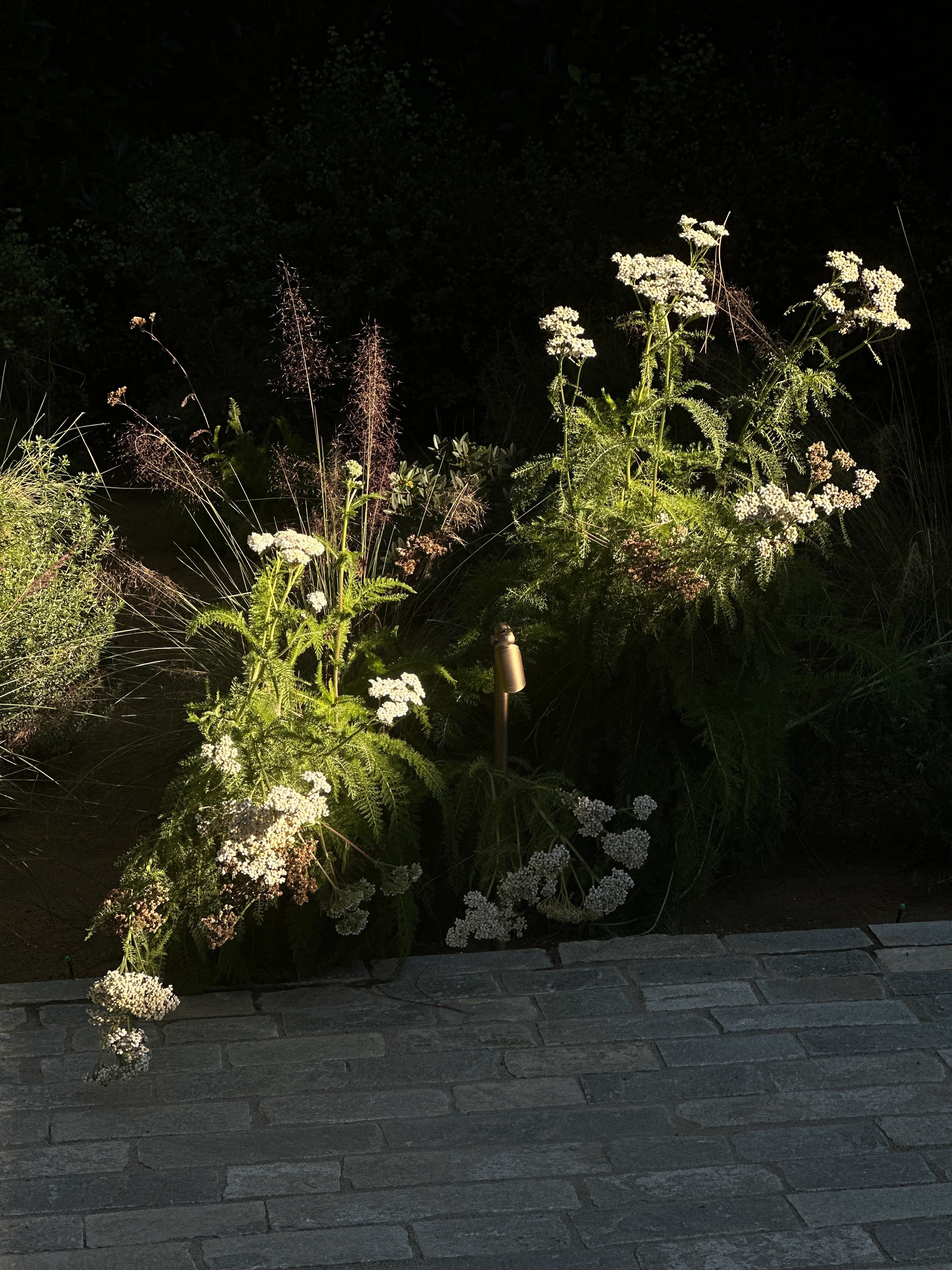 Passage Light - Image 6