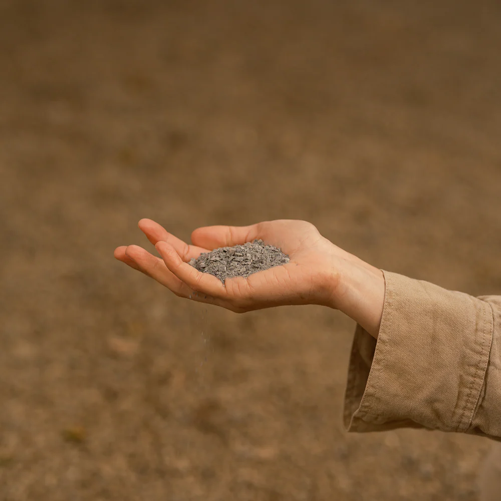 Path Fines - Image 3
