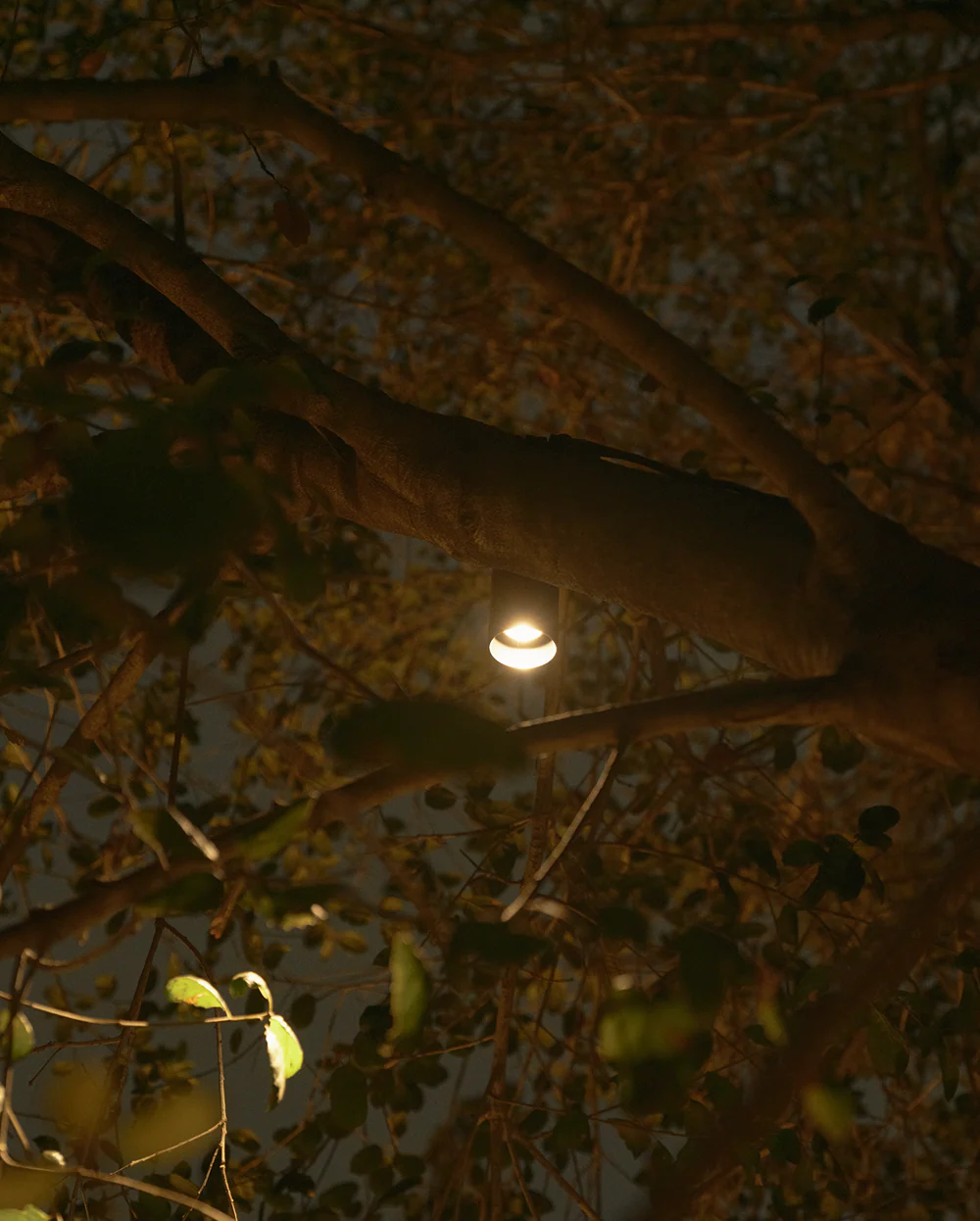 Pendulum Down Light - Image 6