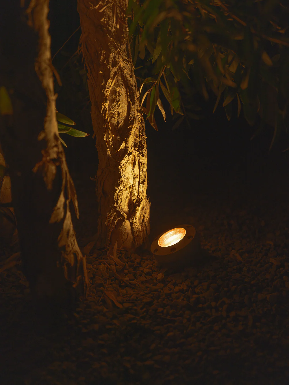 Portal Light - Image 8