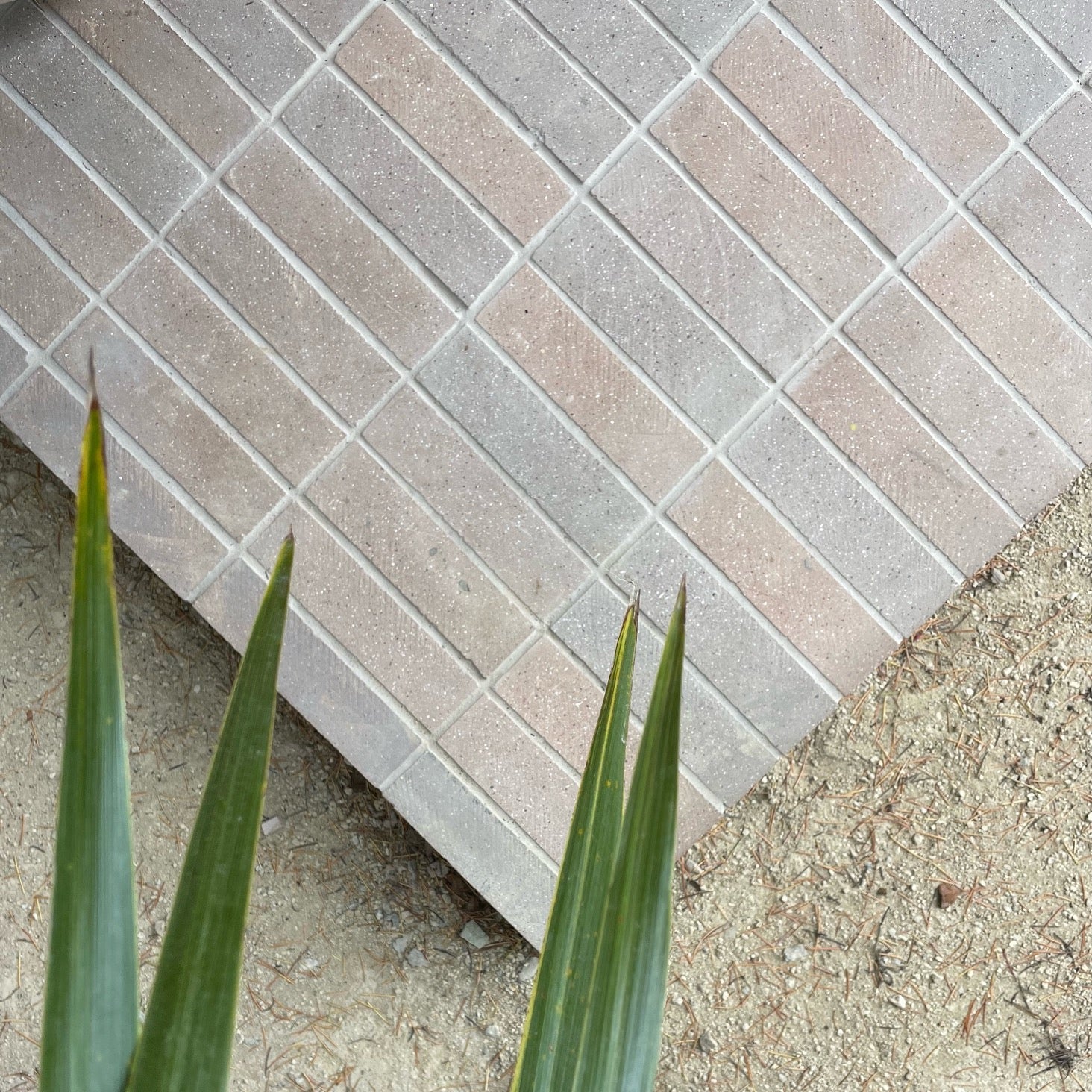 Terrazzo Clay Paver - Image 43