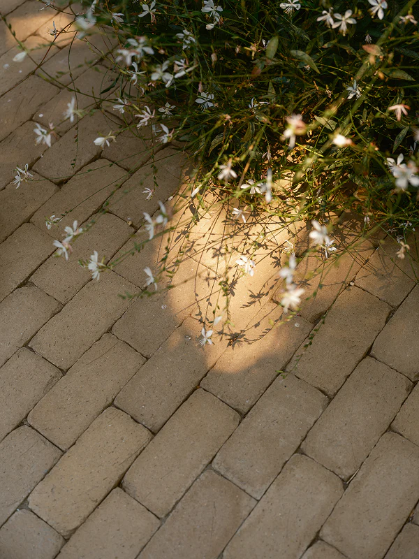 Worn Clay Paver - Image 10