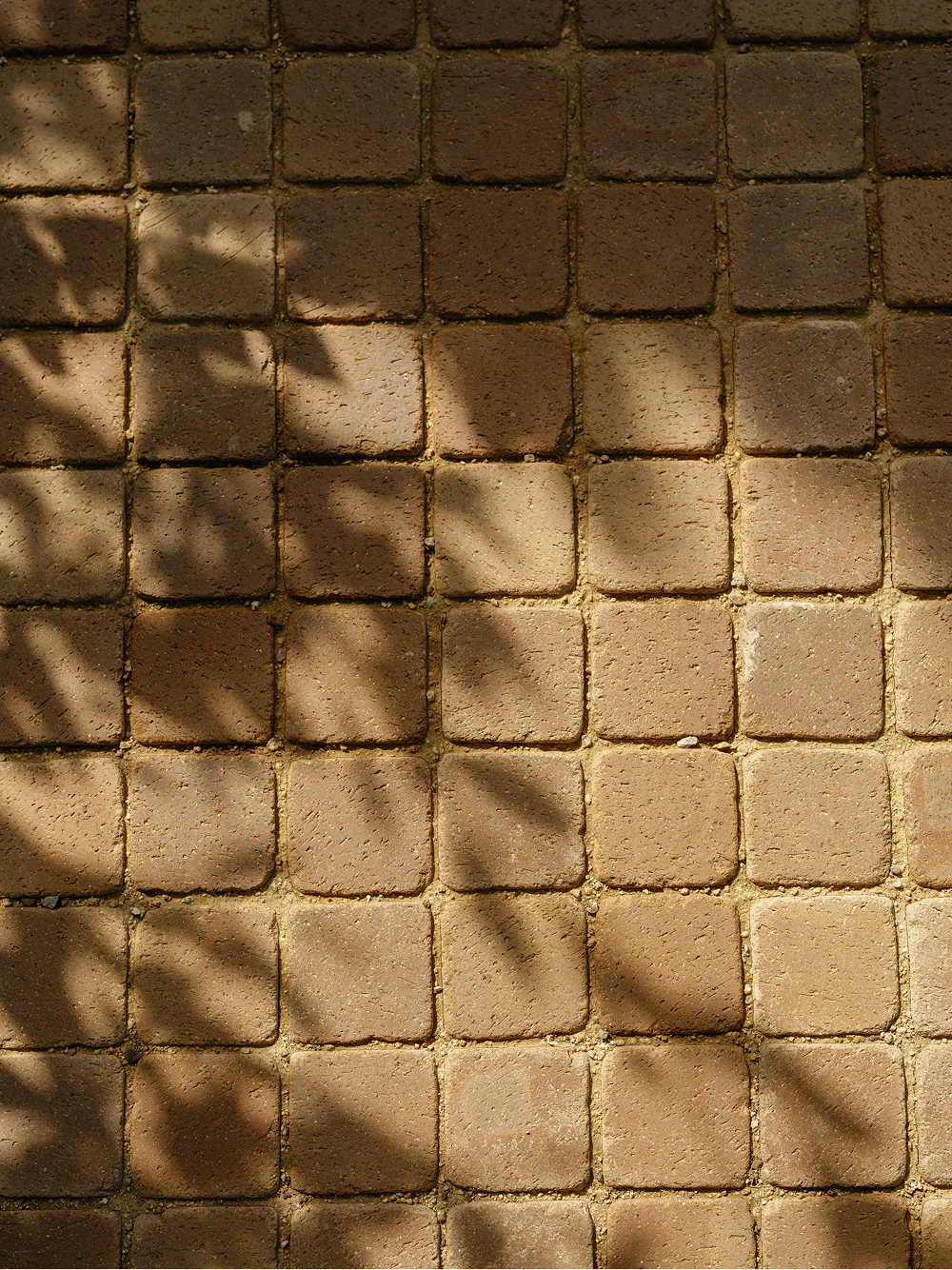 Worn Clay Paver - Image 37