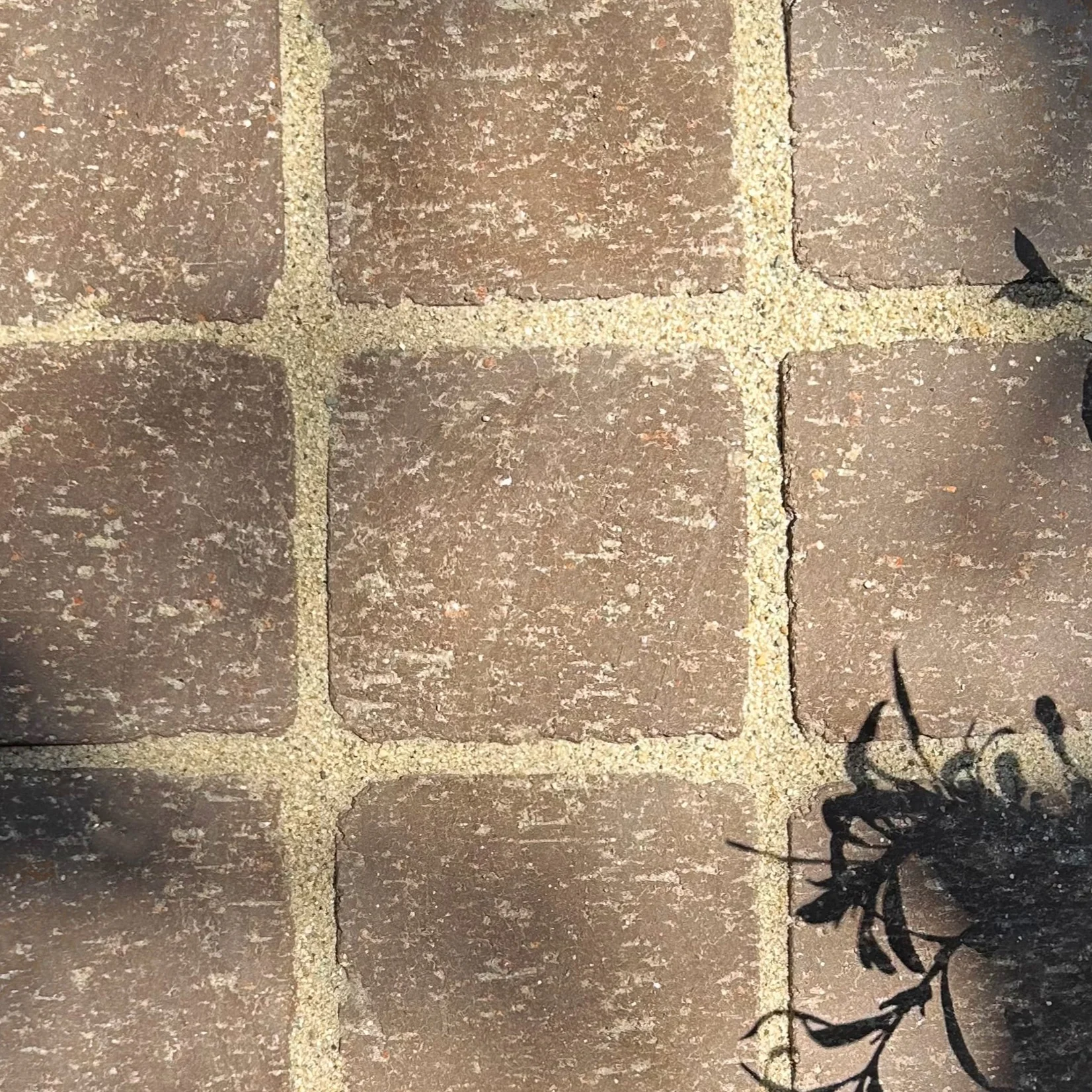 Worn Clay Paver - Image 45