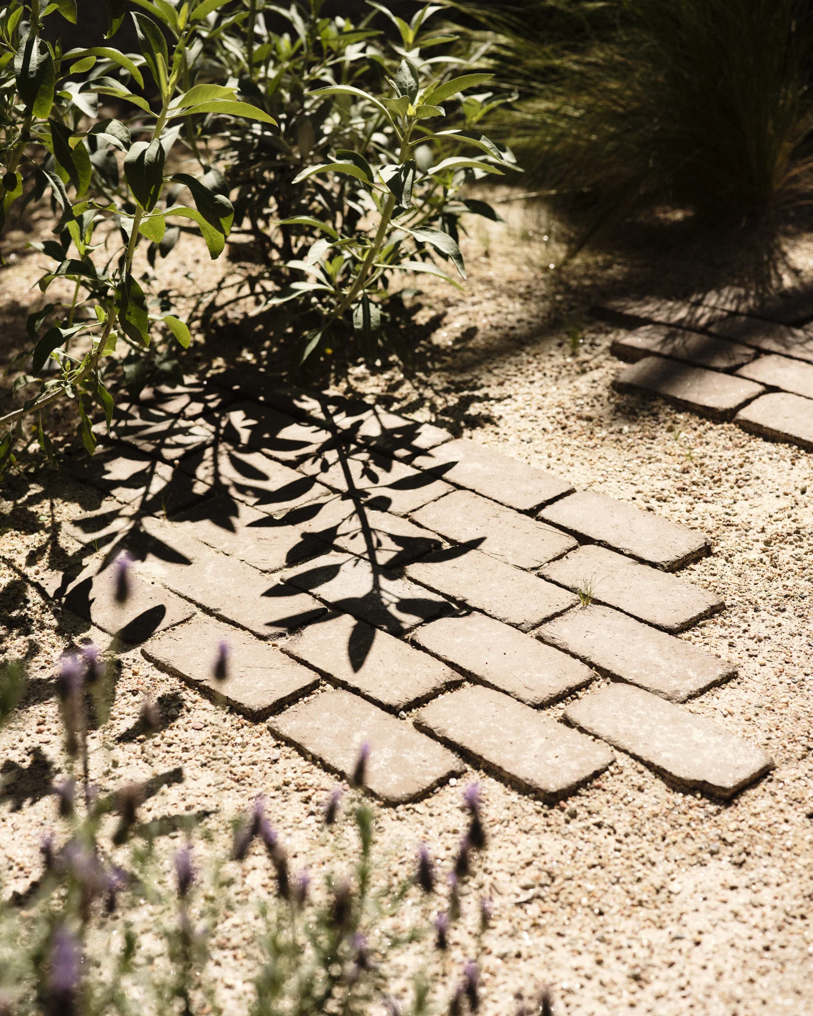 Worn Clay Paver - Image 7